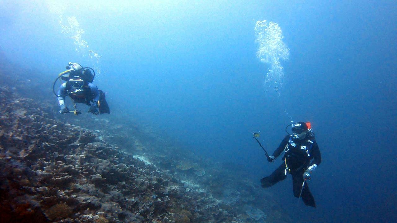 Cebu Blue sea Dive,  Tambuli Airplane
