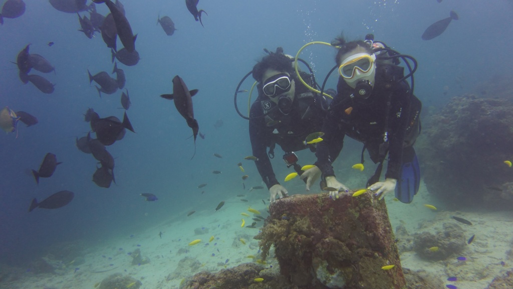 필리핀,막탄 - Olango Talima