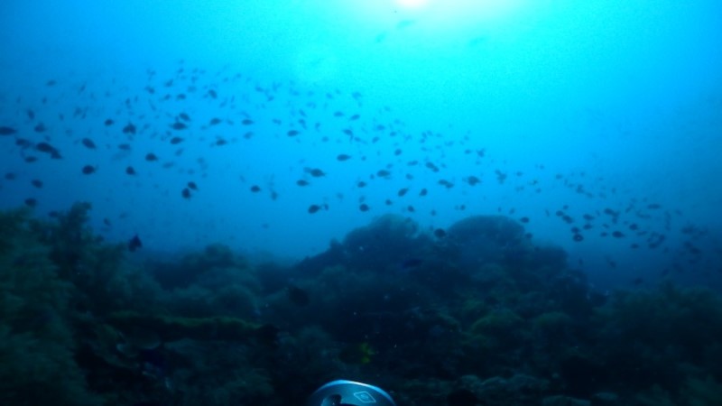 언제나 아쉬운 막따!