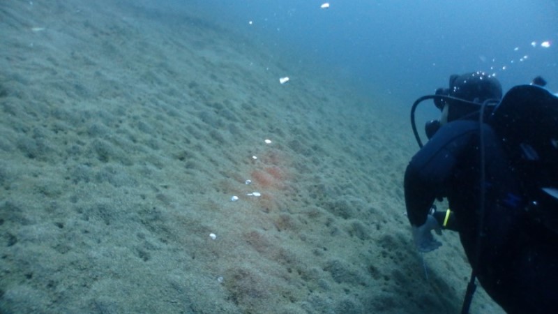 언제나 아쉬운 막따!