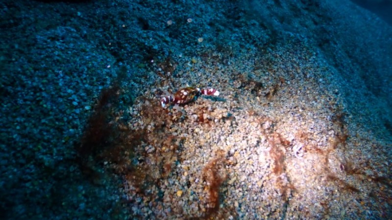 언제나 아쉬운 막따!