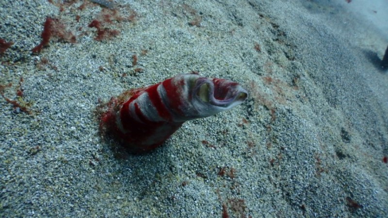 언제나 아쉬운 막따!