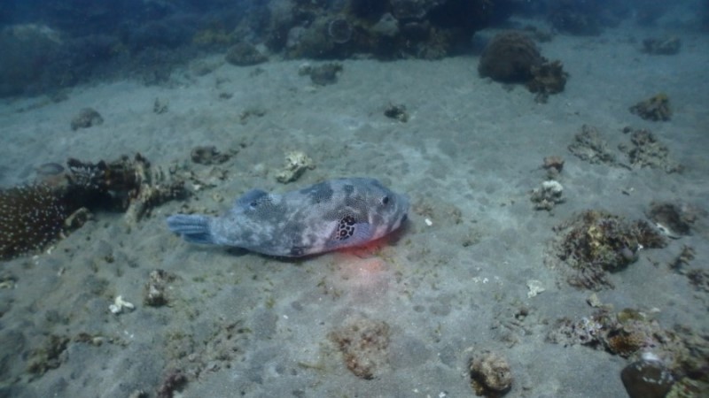 언제나 아쉬운 막따!