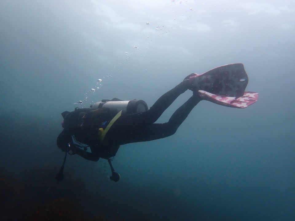 The second day fun diving with Yun-hee?