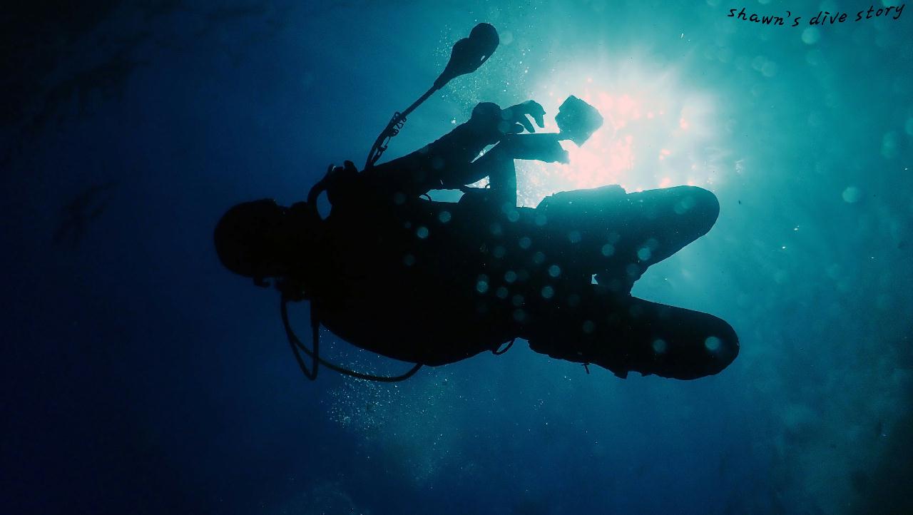 문섬 두번째 다이빙