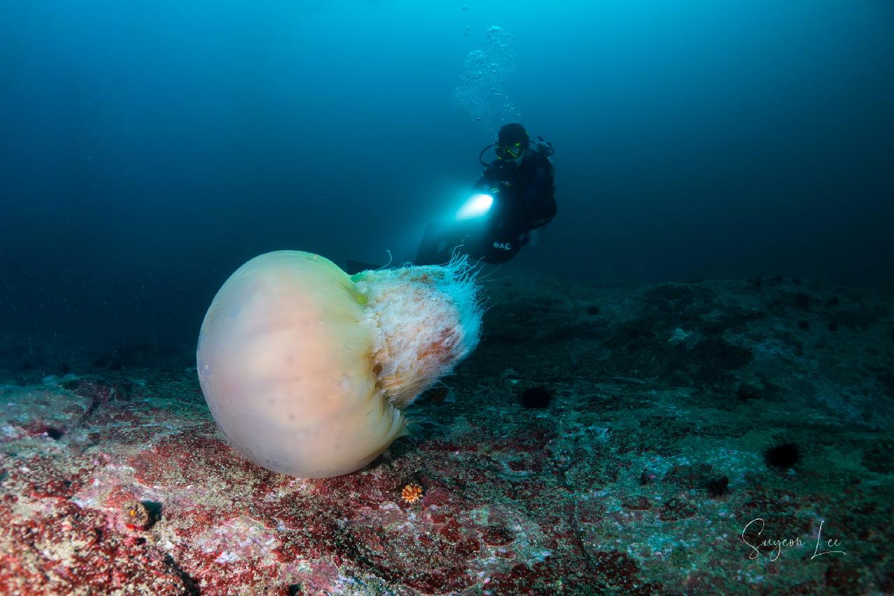 교암 베짱이 리조트 - 우럭대기