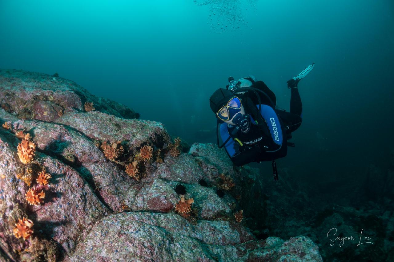 교암 베짱이 리조트 - 우럭대기
