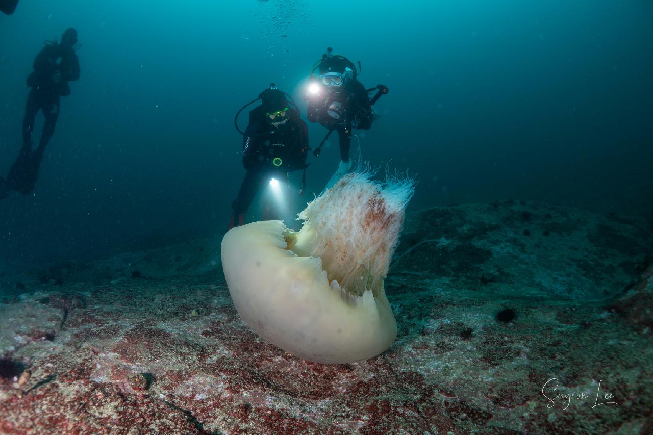교암 베짱이 리조트 - 우럭대기