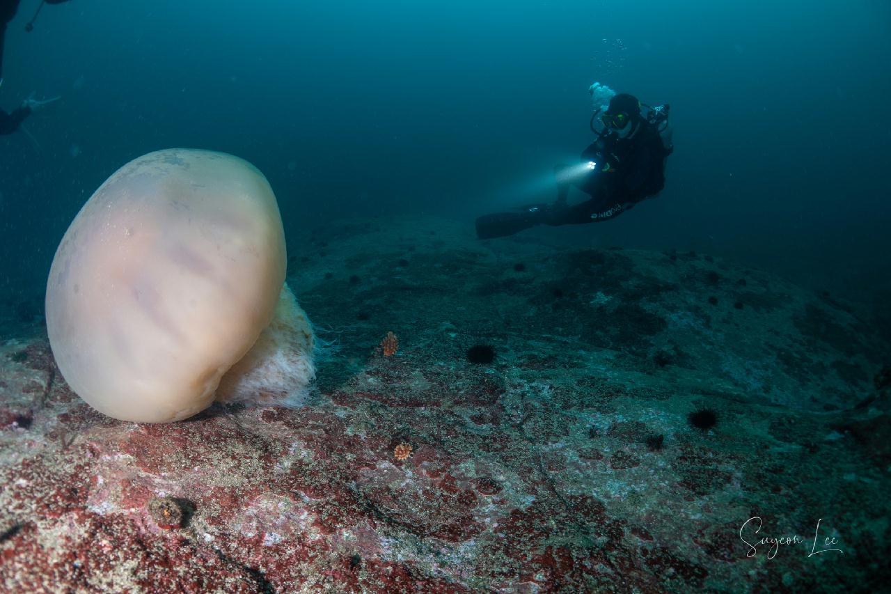교암 베짱이 리조트 - 우럭대기