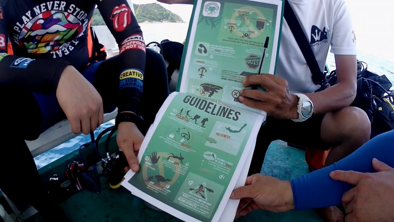 Palawan Coron W Dive Resort Dugong