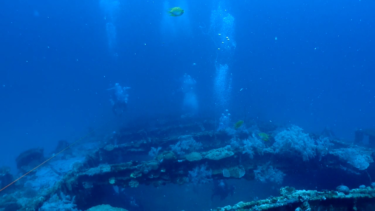 Palawan Coron W Dive Resort Barge Philippines Wreck