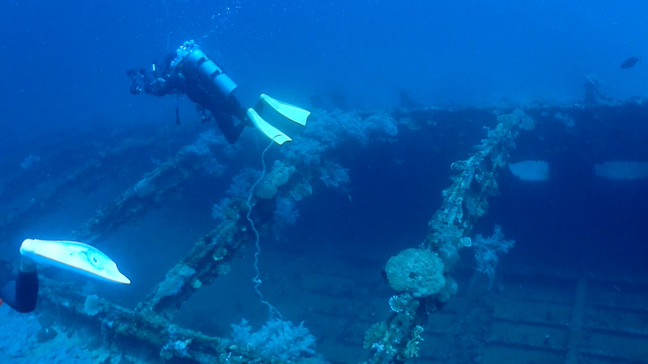 Palawan Coron W Dive Resort Barge Philippines Wreck