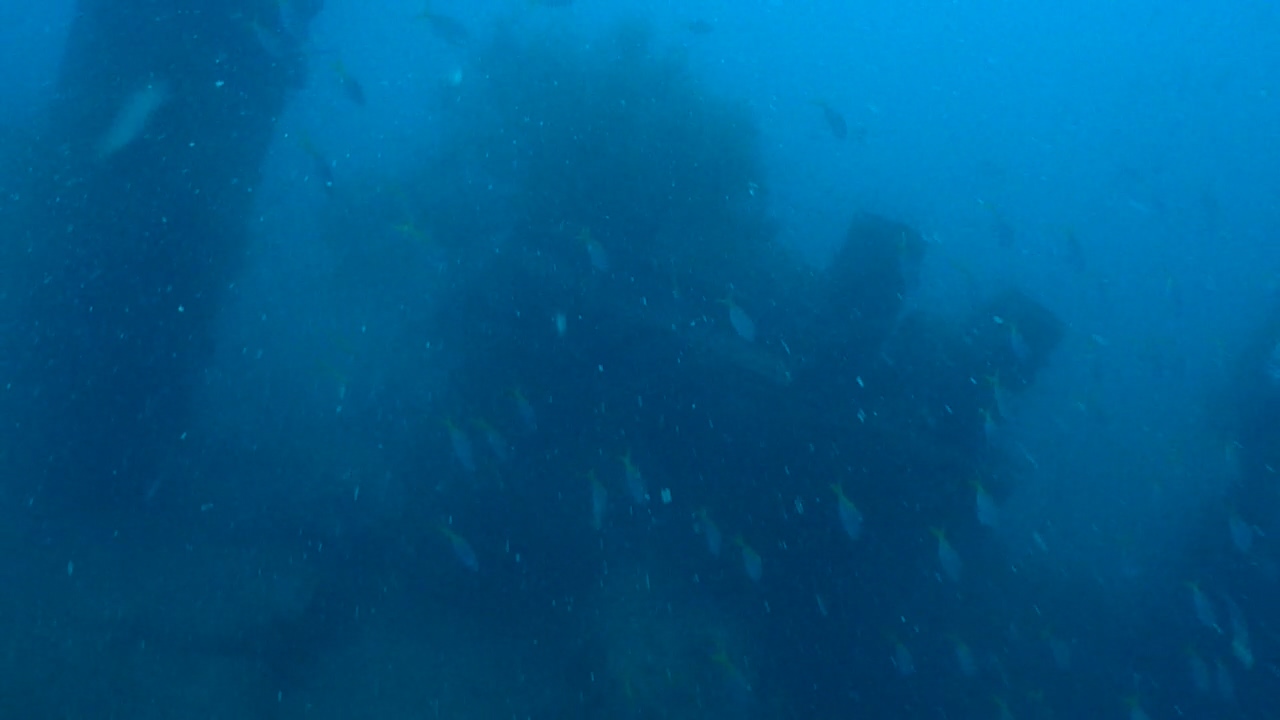 Palwan Coron W Dive Center - IRAKO