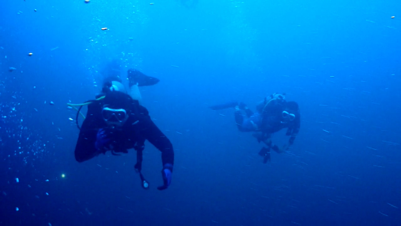 Palawan Coron W Dive Center - Barracuda Lake