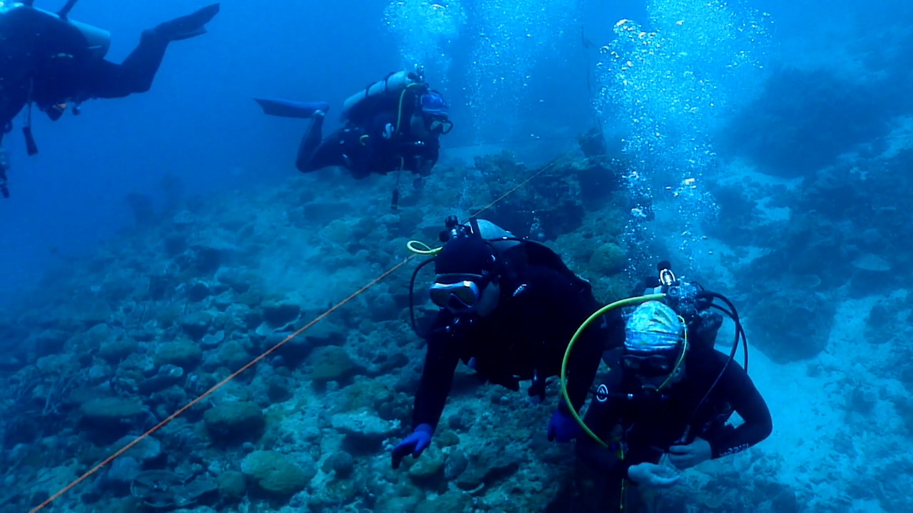Palawan Coron W Dive Center - Barge Phillippines Wreck