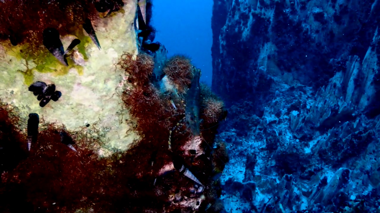 Palawan Coron W Dive Resort Barracuda Lake