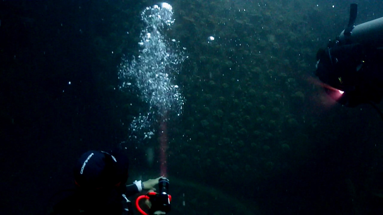 Palawan Coron W Dive Resort Morazan Maru