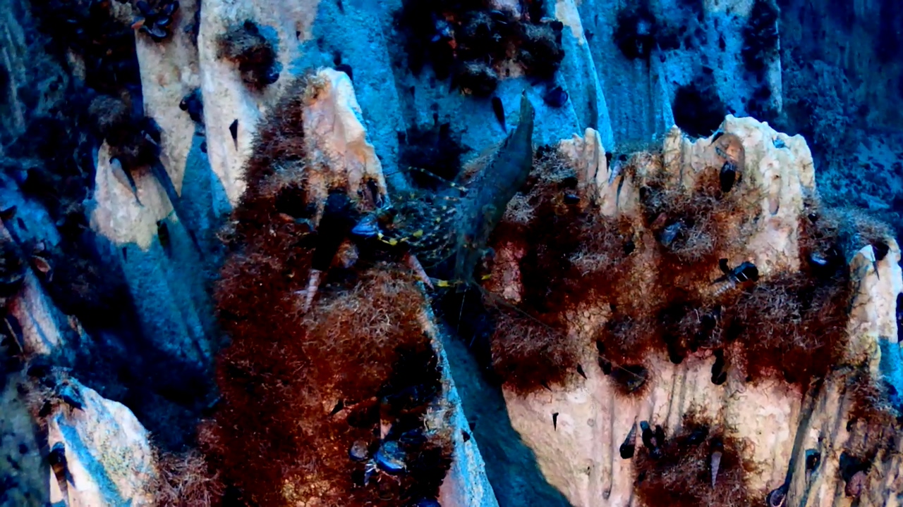 Palawan Coron W Dive Resort Barracuda Lake