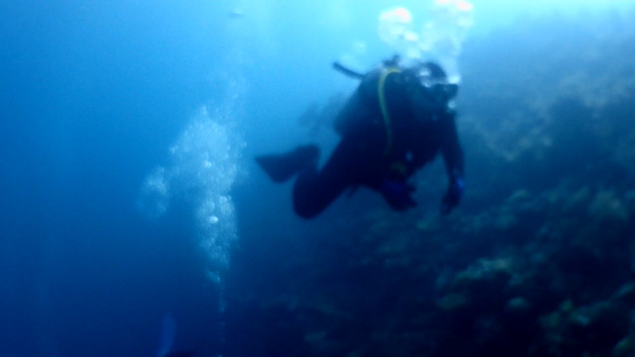 Palawan Coron W Dive Resort Malpadon(=Silinder)