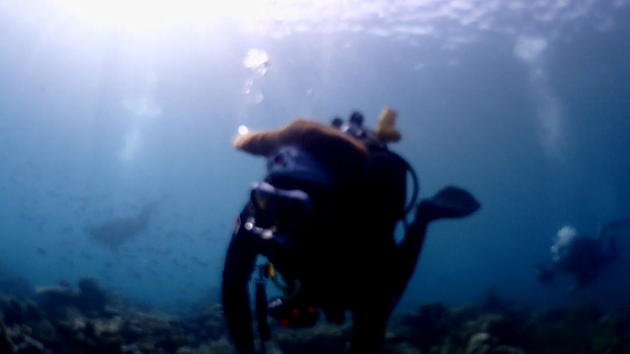 Palawan Coron W Dive Resort Malpadon(=Silinder)