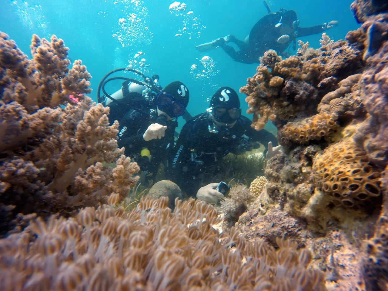 CEBU SEAHORSE DIVE - Marine station