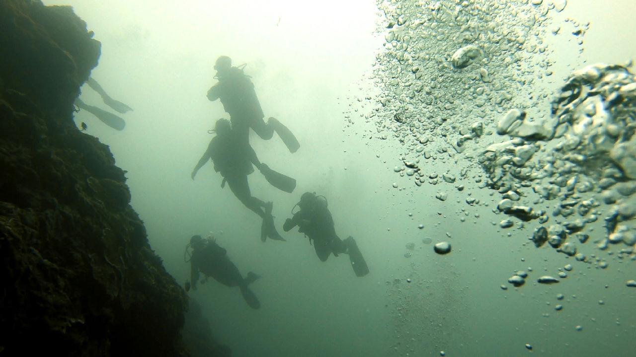 CEBU SEAHORSE DIVE - Marine station