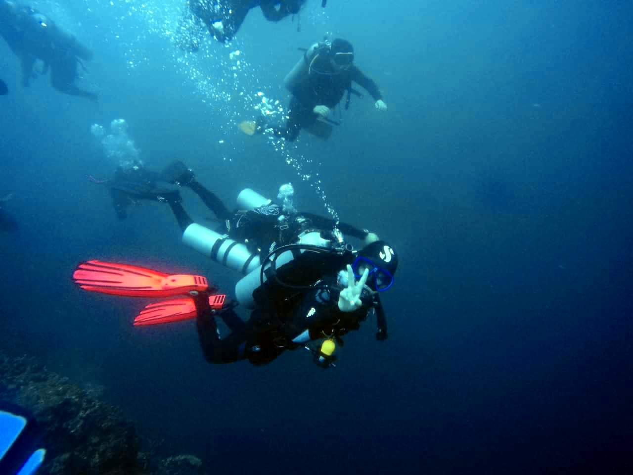 CEBU SEAHORSE DIVE - Olango