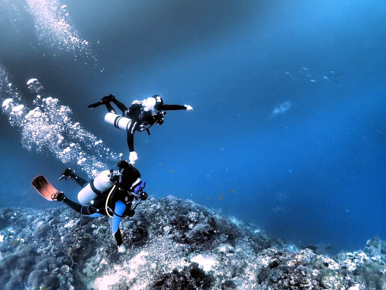 CEBU SEAHORSE DIVE - Airplane wreck