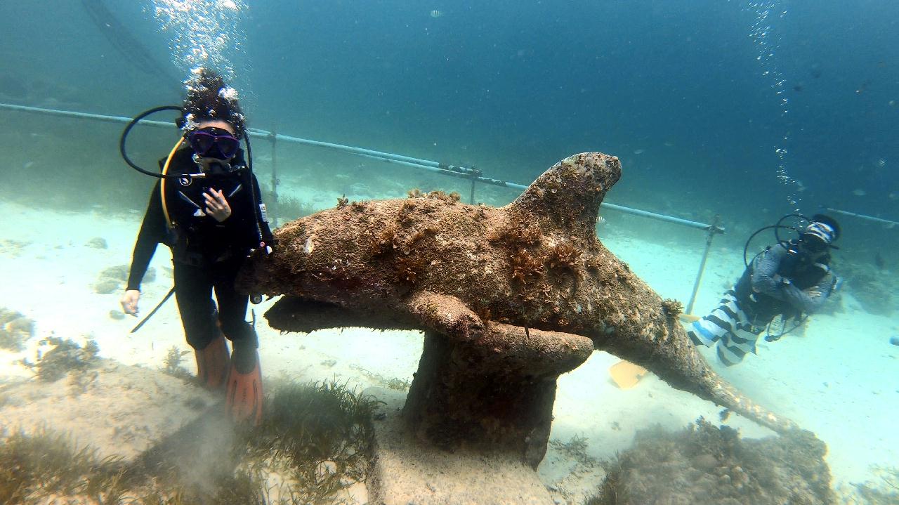 CEBU SEAHORSEDIVE - Sea working