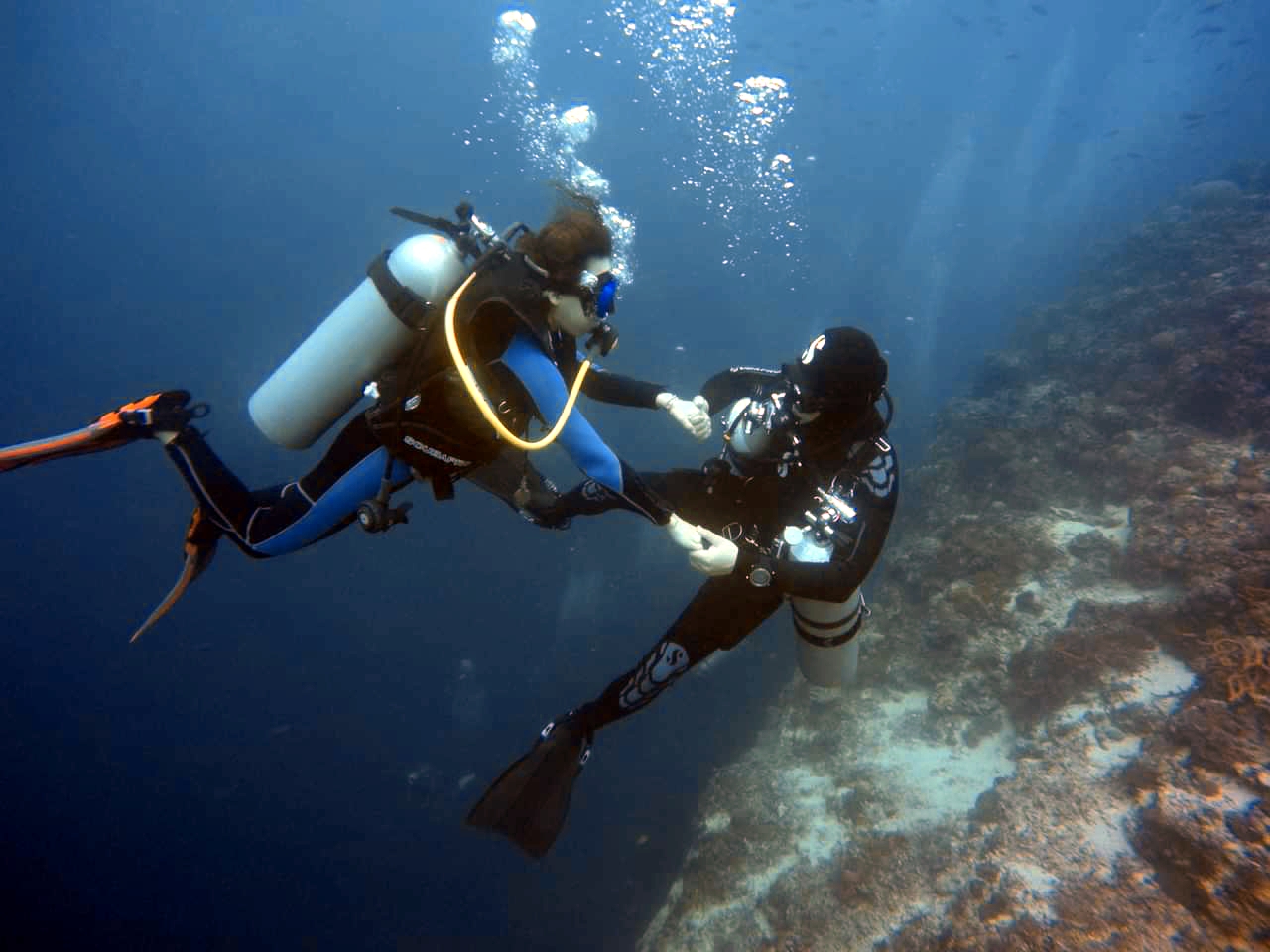 CEBU SEAHORSE DIVE - Agus coral reef
