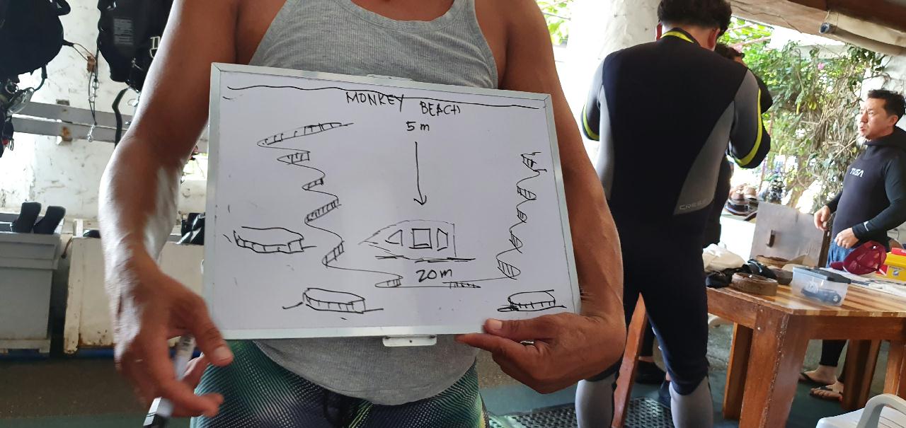 사방에서 첫다이빙