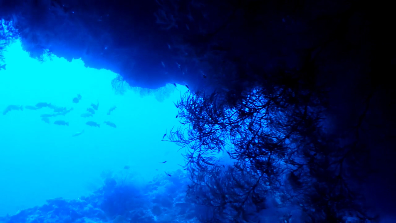 Palau Adventure Dive #Siaes Tunnel