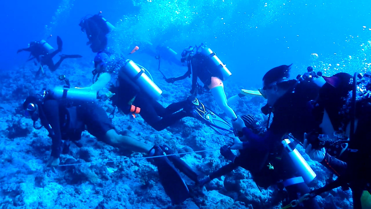 Palau Adventure Dive #Blue Corner Out Going Side