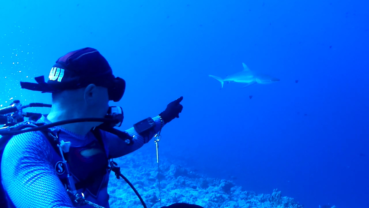 Palau Adventure Dive #Blue Corner Out Going Side