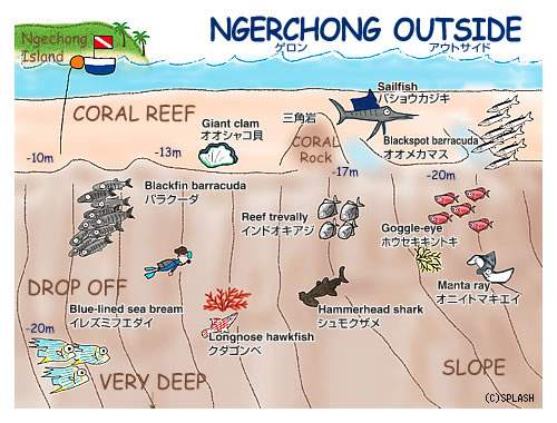 팔라우 - Ngerchong outside