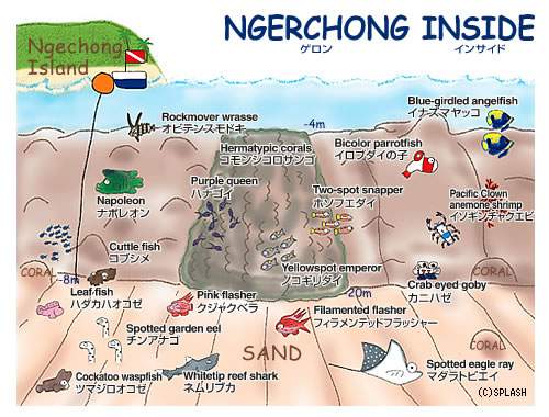 팔라우 - Ngerchong inside