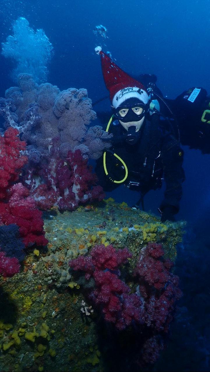 난파선에 나타난 산타