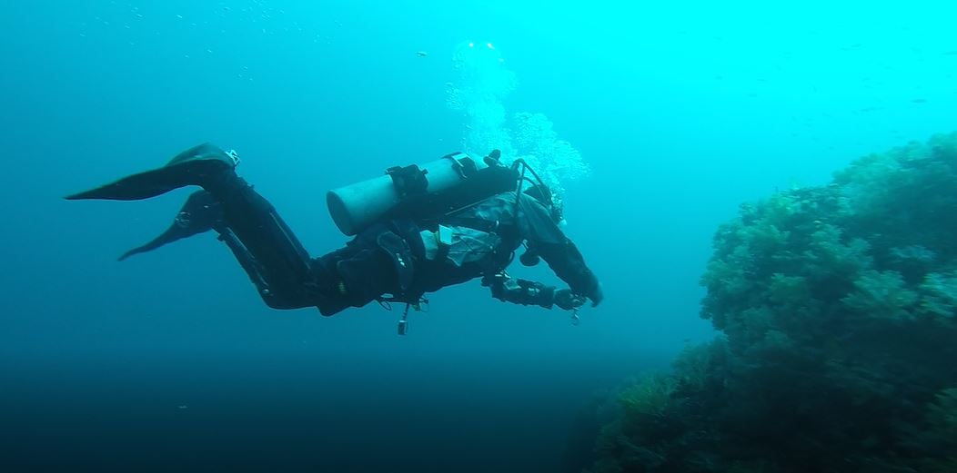 스쿠버짱 정기모임