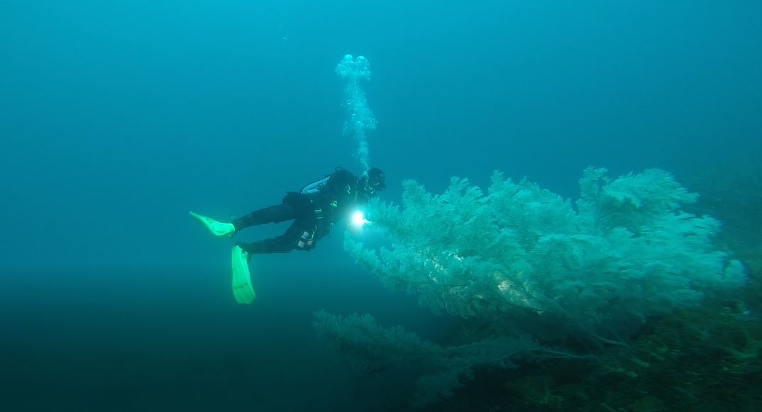 스쿠버짱 정기모임