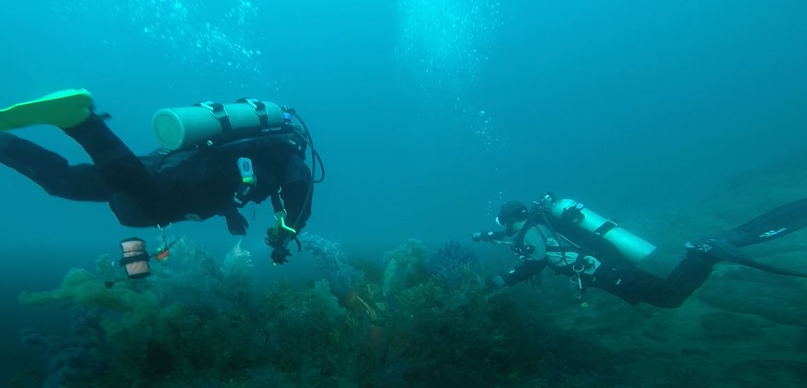 스쿠버짱 정기모임