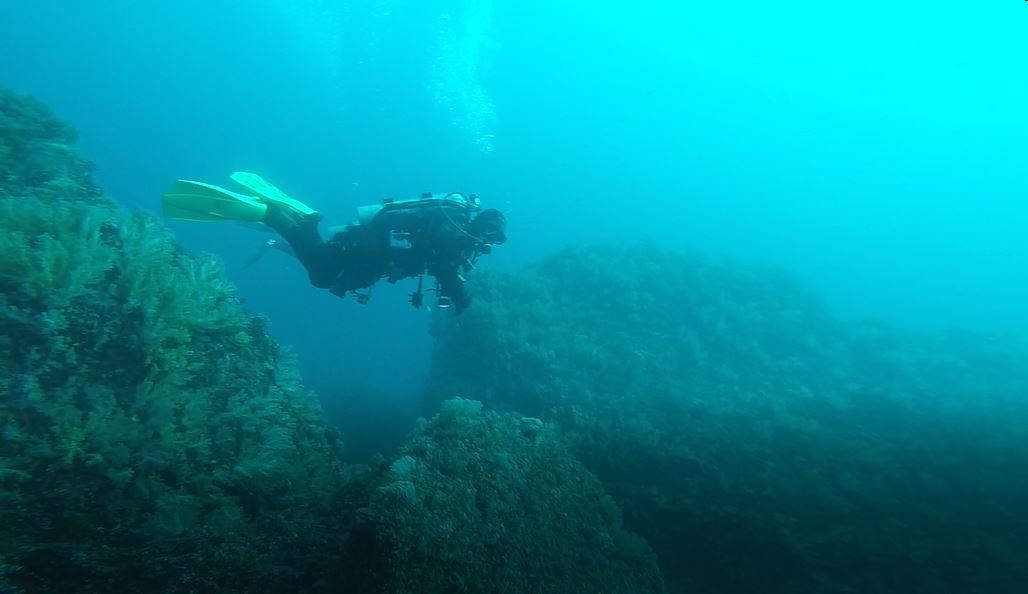 스쿠버짱 정기모임