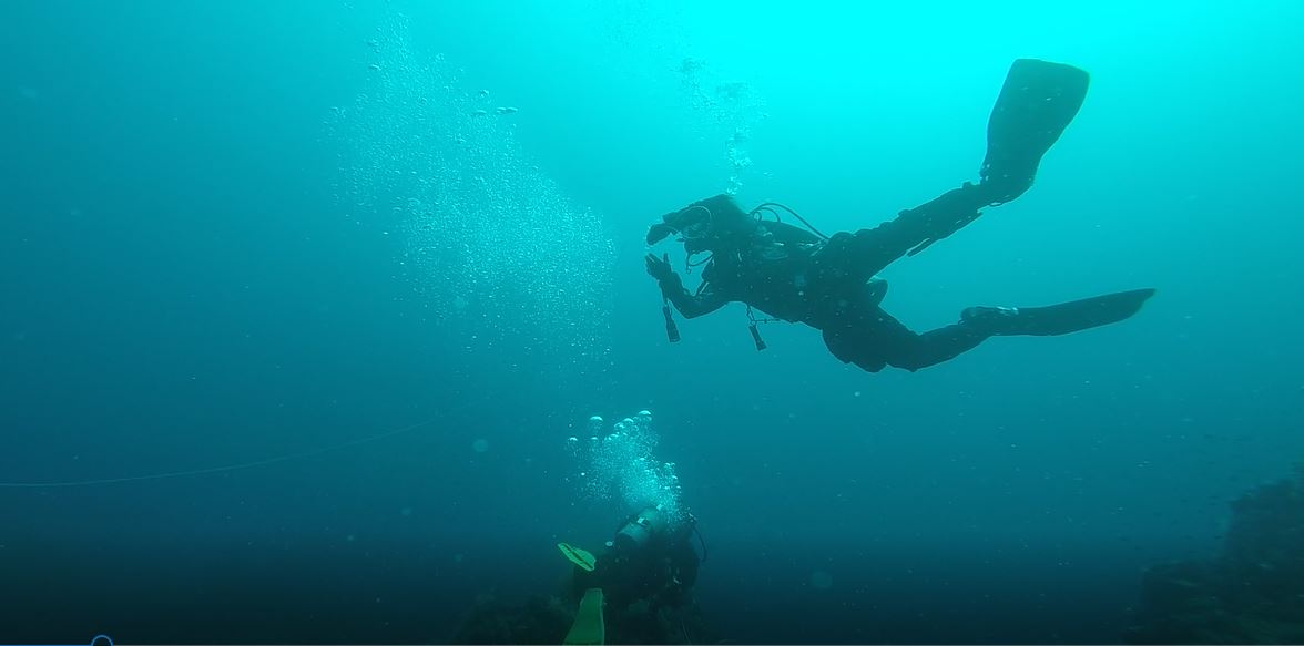 스쿠버짱 정기모임