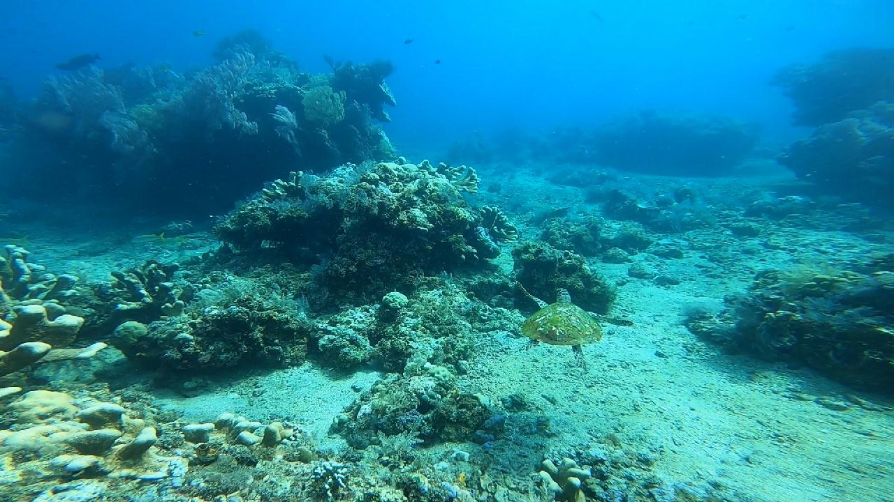 Bali first diving(ADVENTURE DIVERS BALI)