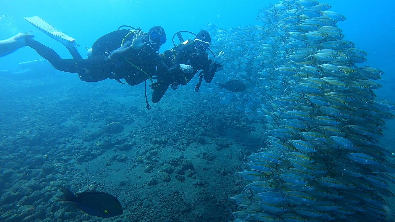 BALI FOURTH DIVING