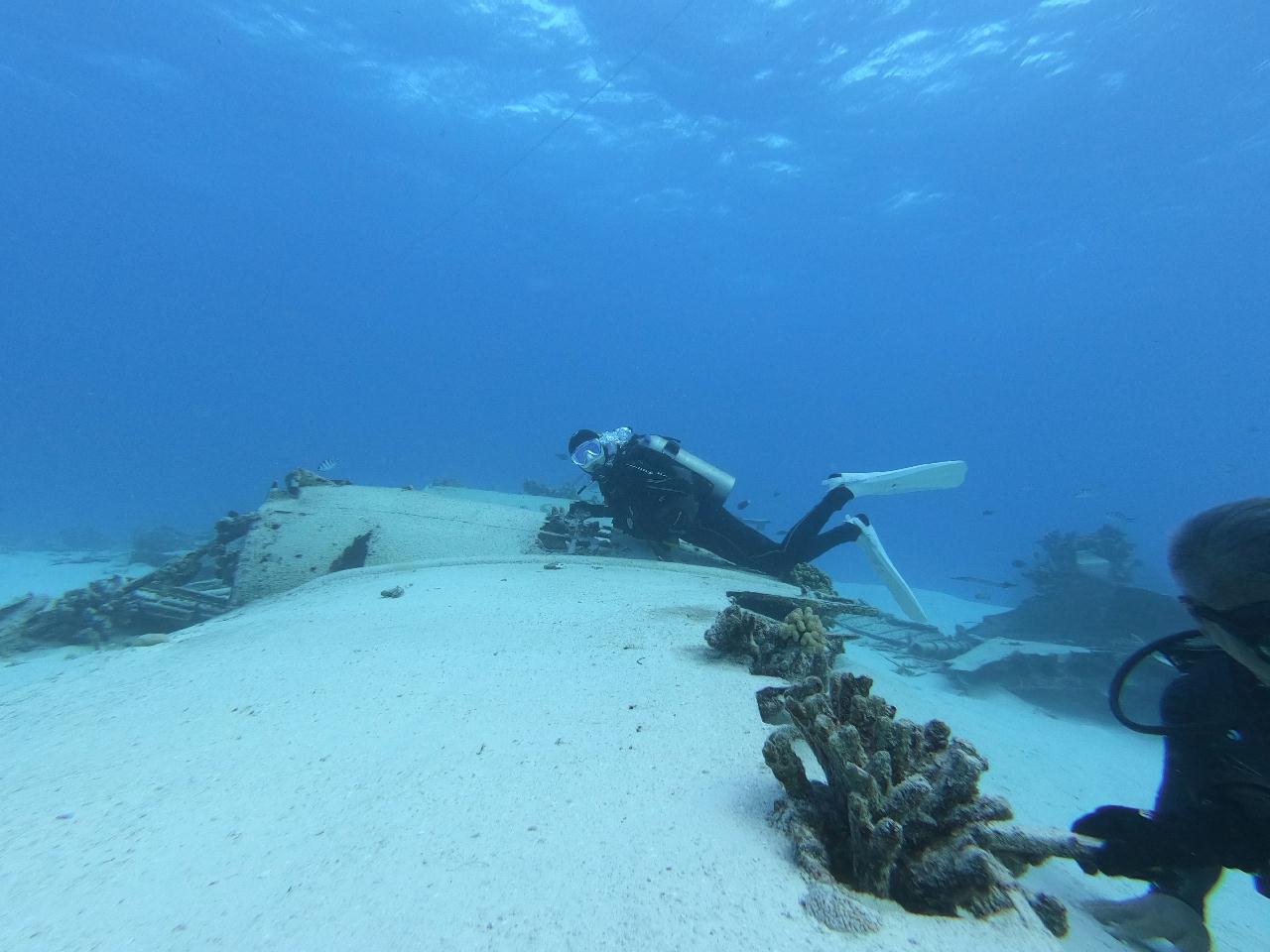 B29
