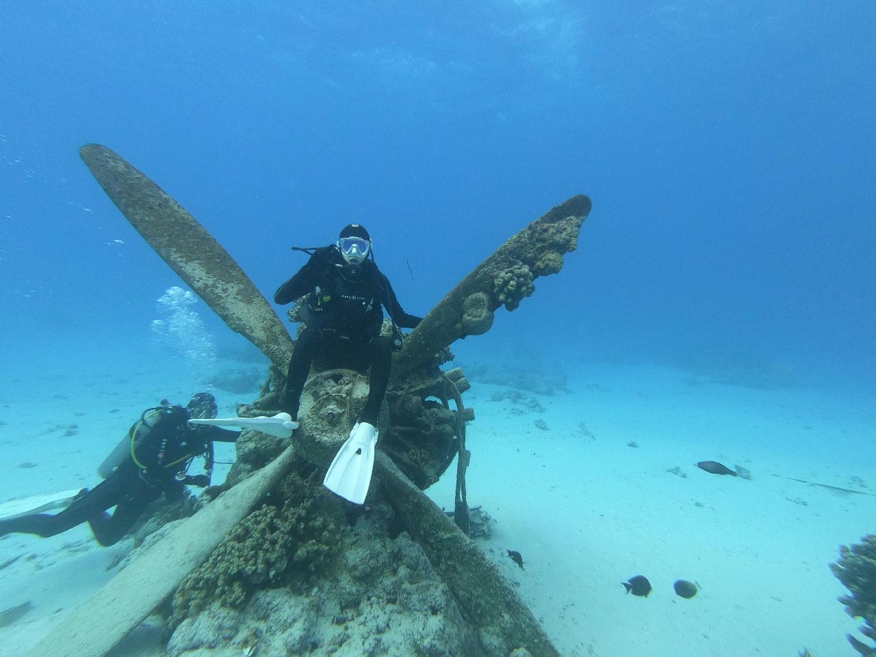 B29