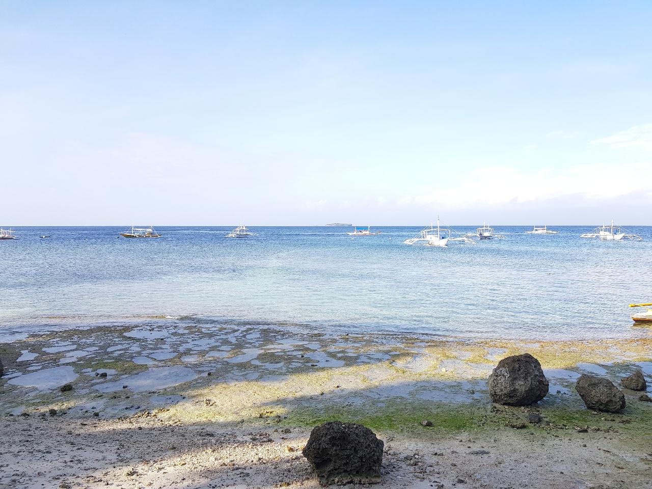 MOALBOAL 3ND DIVING
