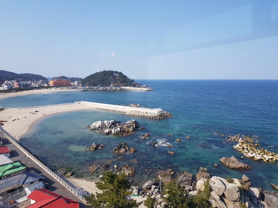 패닉올뻔