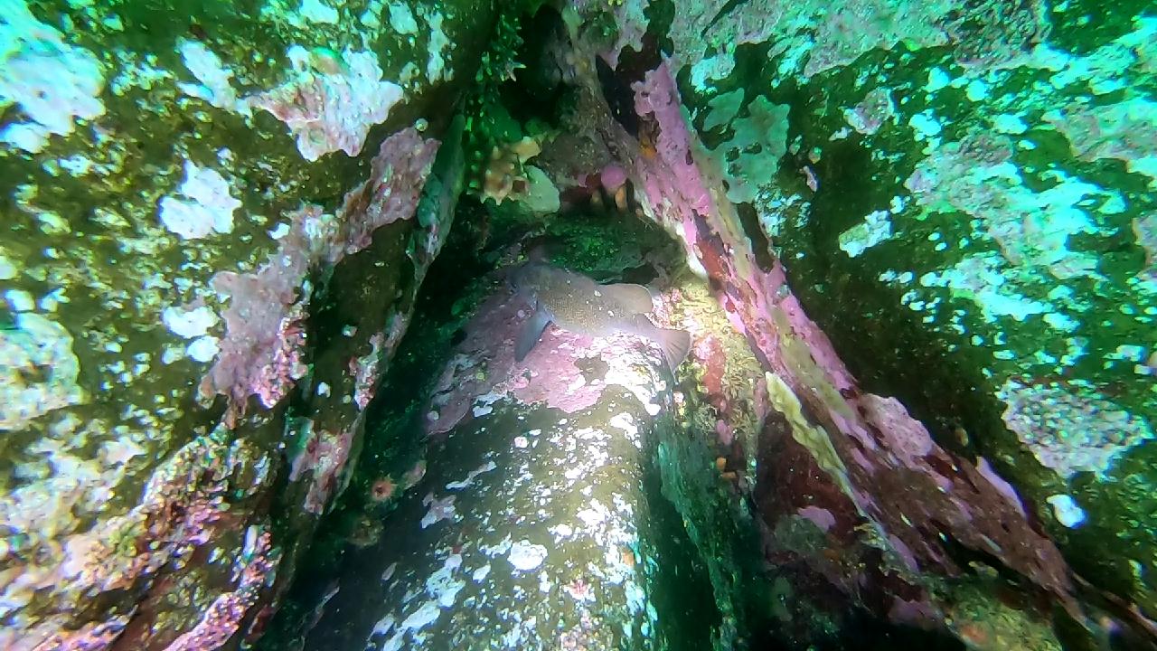 고성 봉포리조트 _ 동해 세번째 