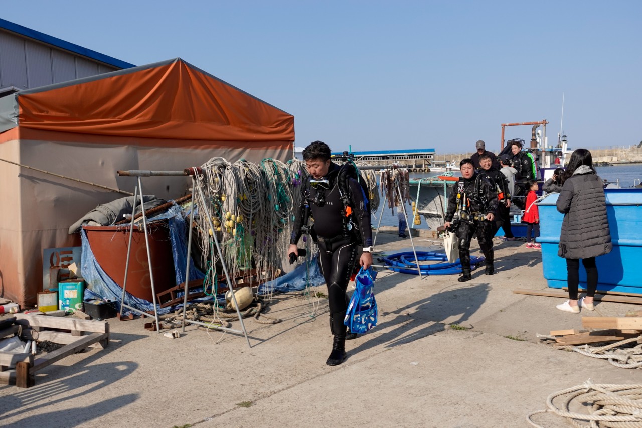 고성 봉포리조트 _ 동해 세번째 